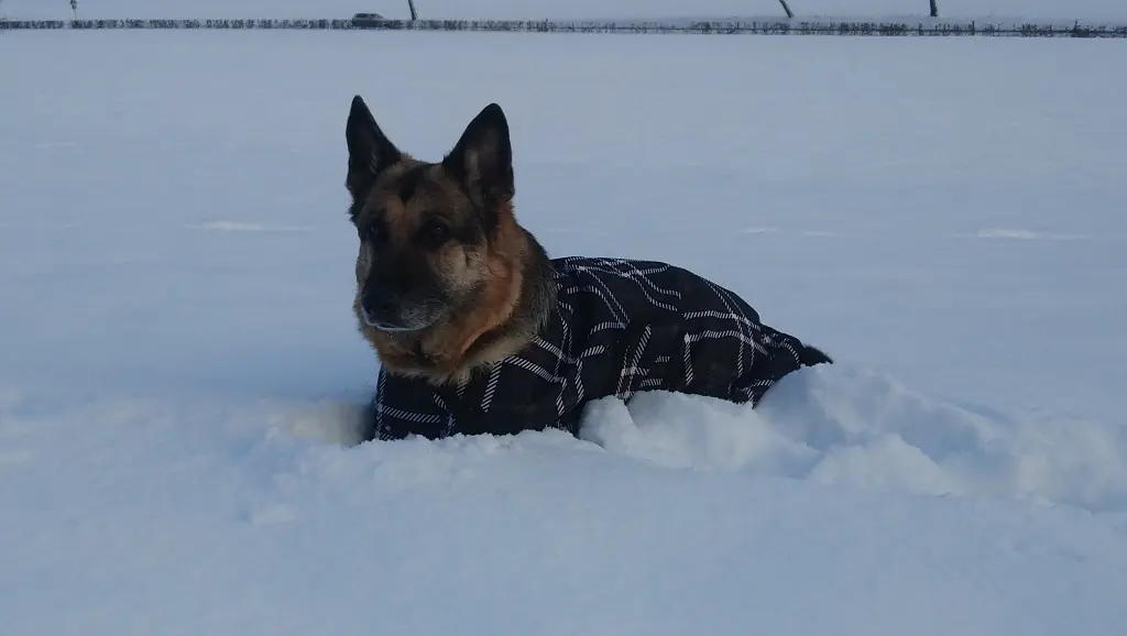 Andachtsbild von Rainer mit Stella aus Sundern