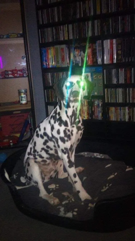 Schau mir in die Augen kleines
