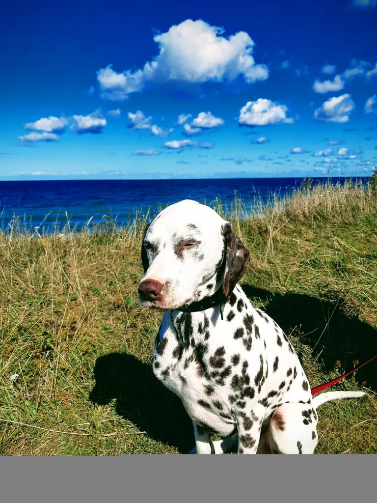 Rügen 2020