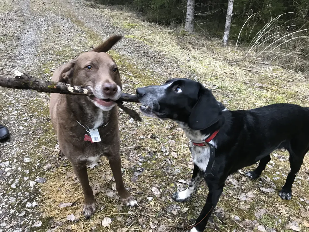 Andachtsbild von Tina