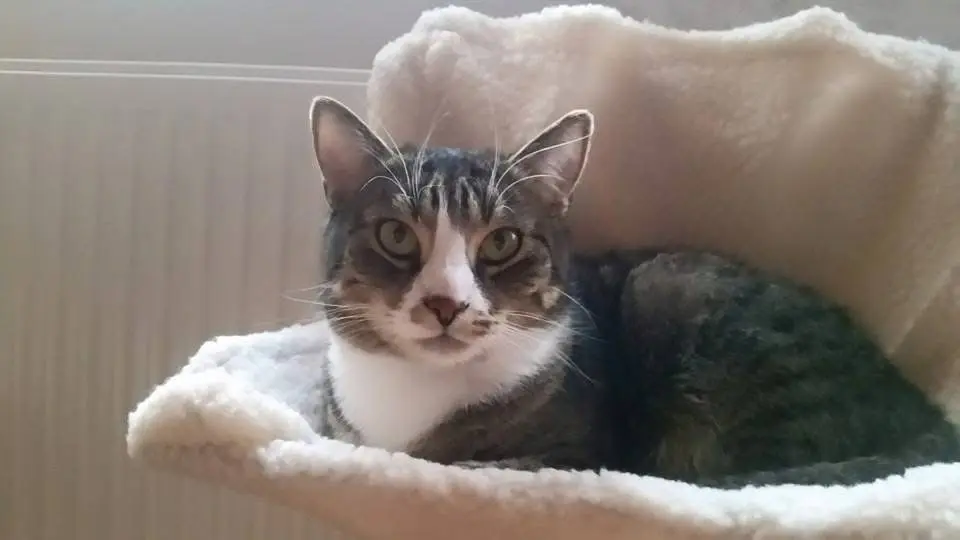 Bild von Brian