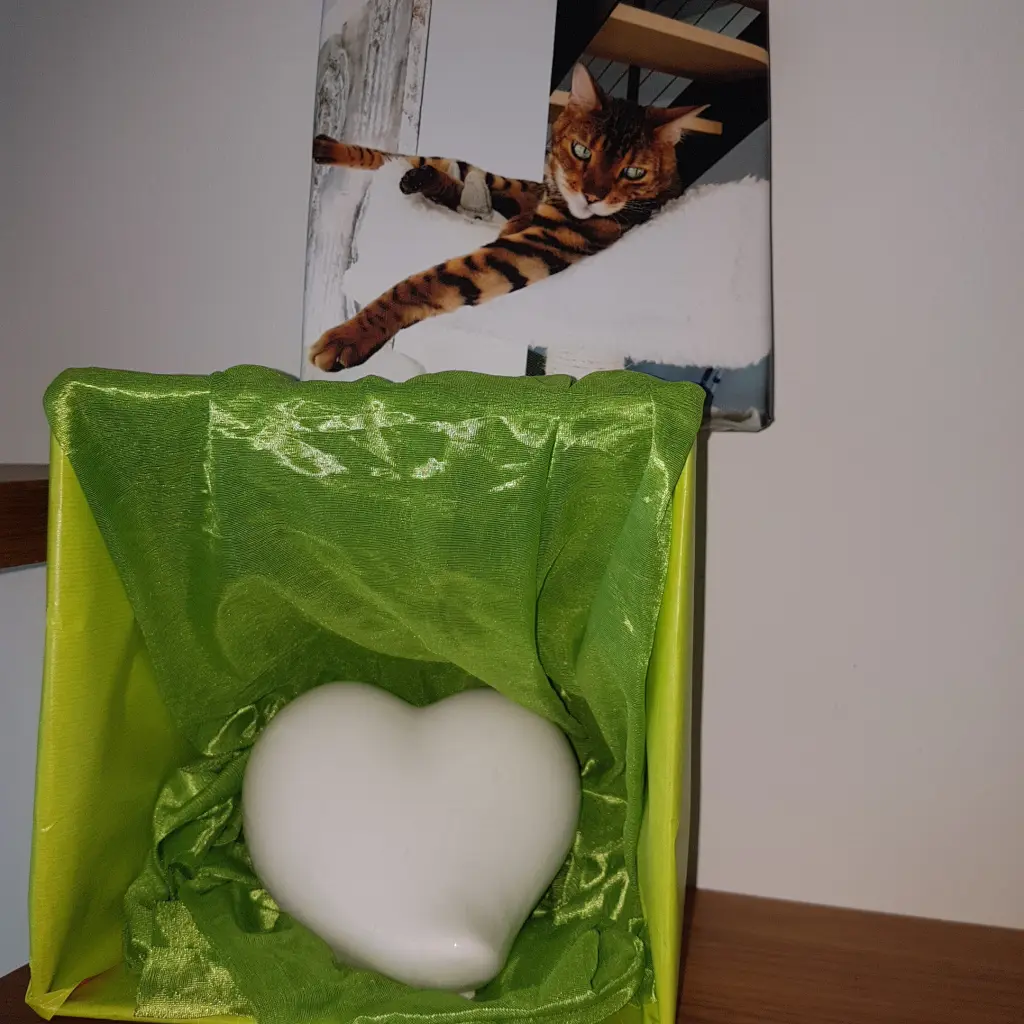 Condolence image of Bettina