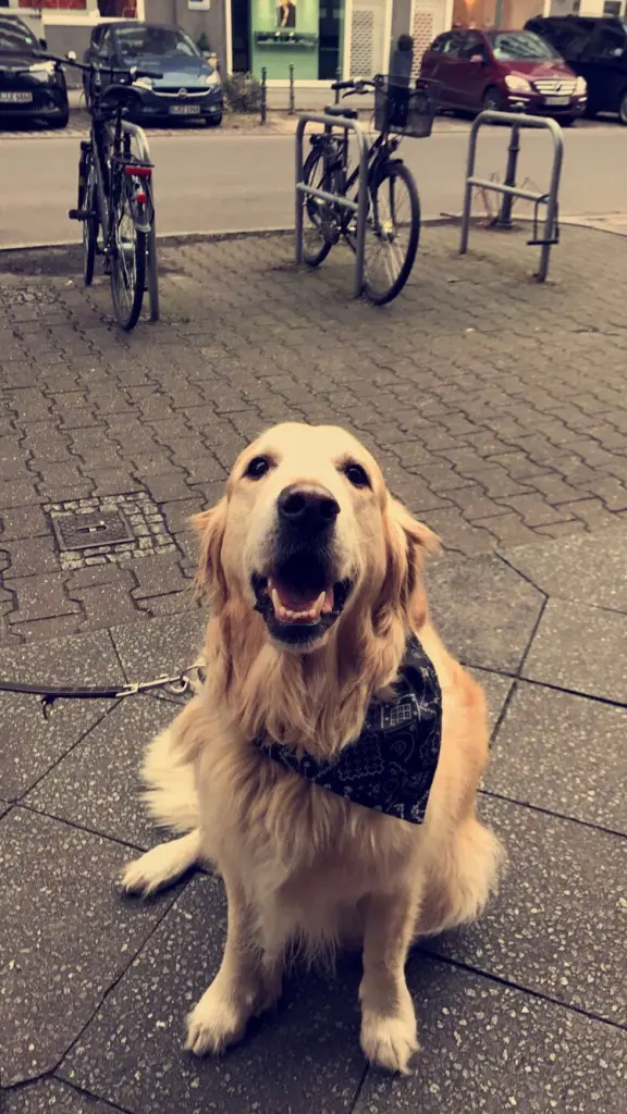 Andachtsbild von Ursula Baumann