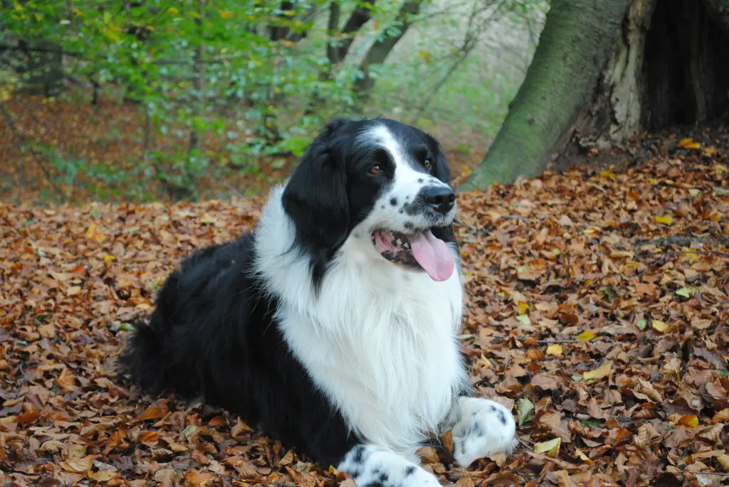 ...unvergessen für immer...
