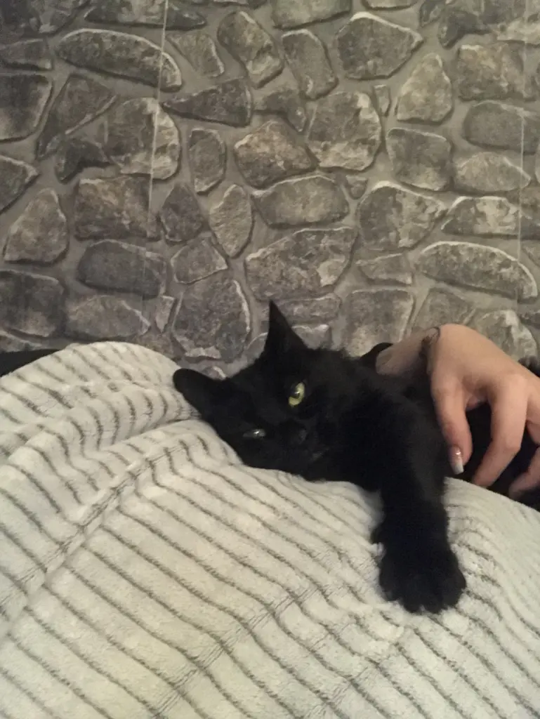 Meine kleine, verschmutzte Mama wird dich immer lieben❤️