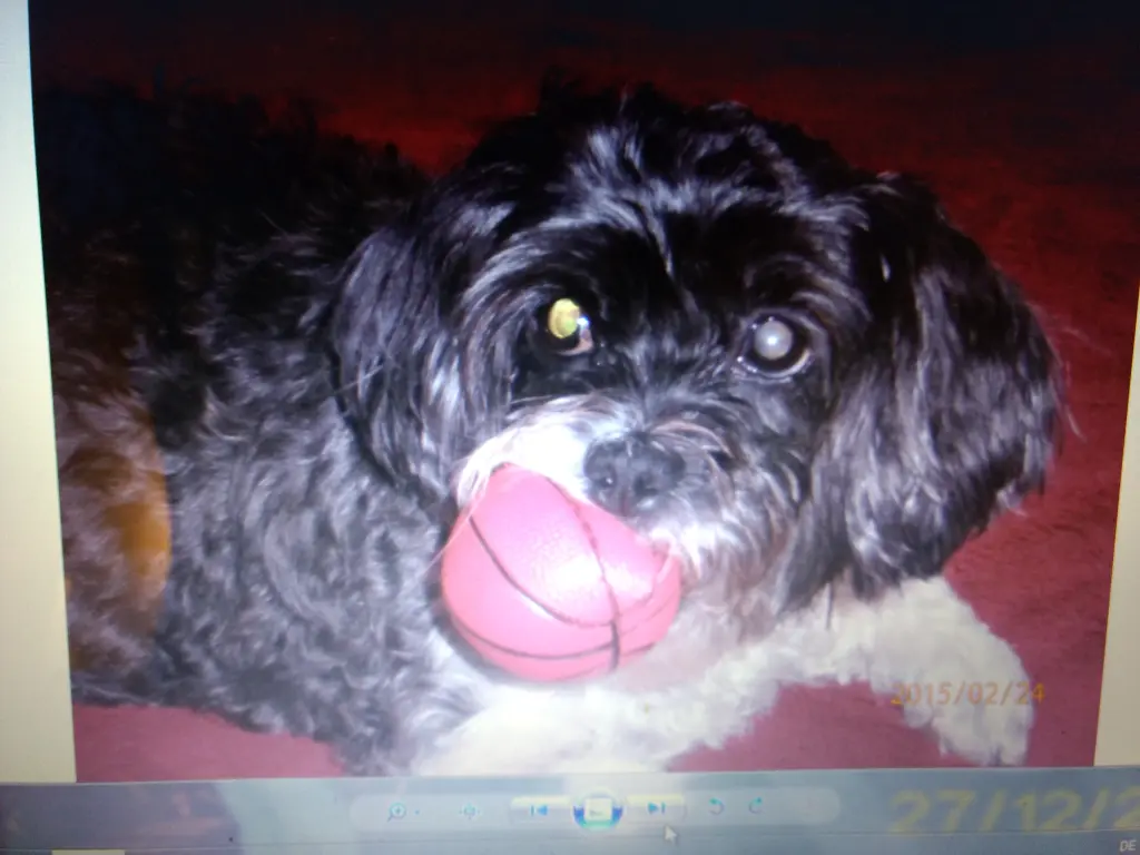 Condolence image of Sigrid