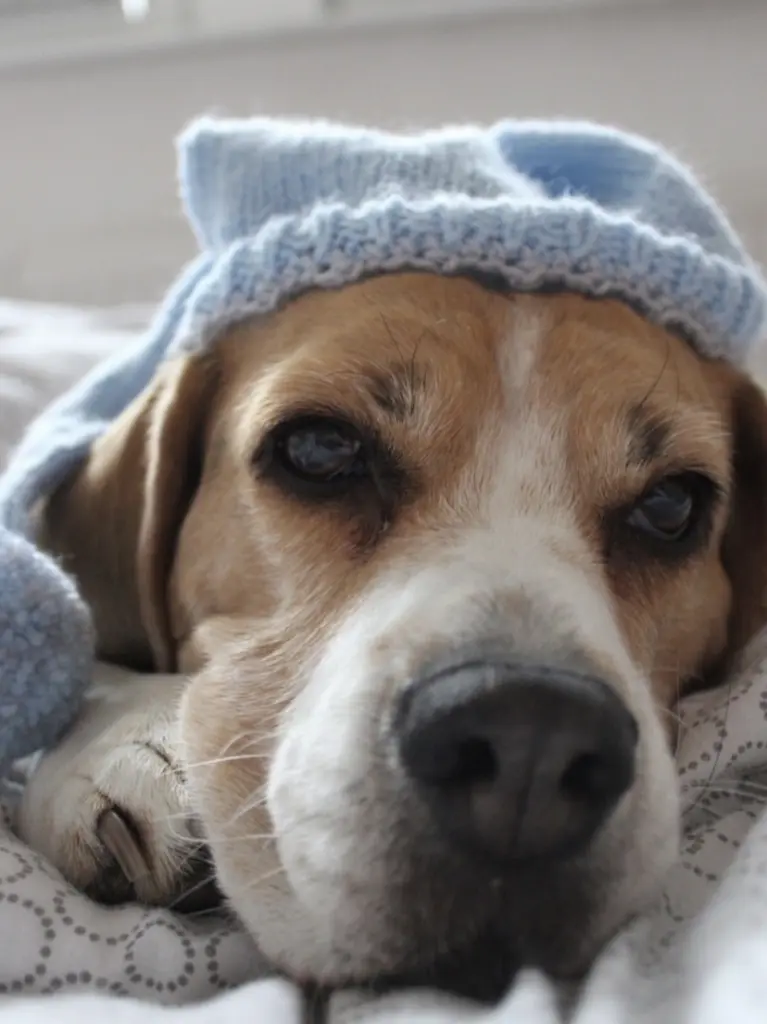 Andachtsbild von Wenke mit Lilli im ❤️