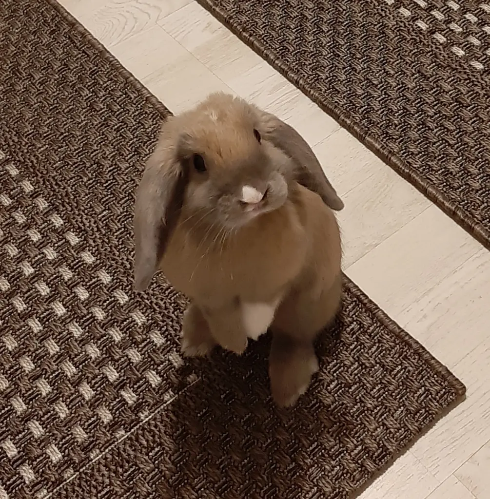 Andachtsbild von Simona Kiric