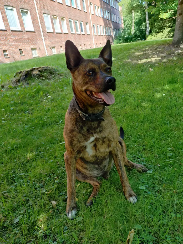 Andachtsbild von Grażyna Schlichting