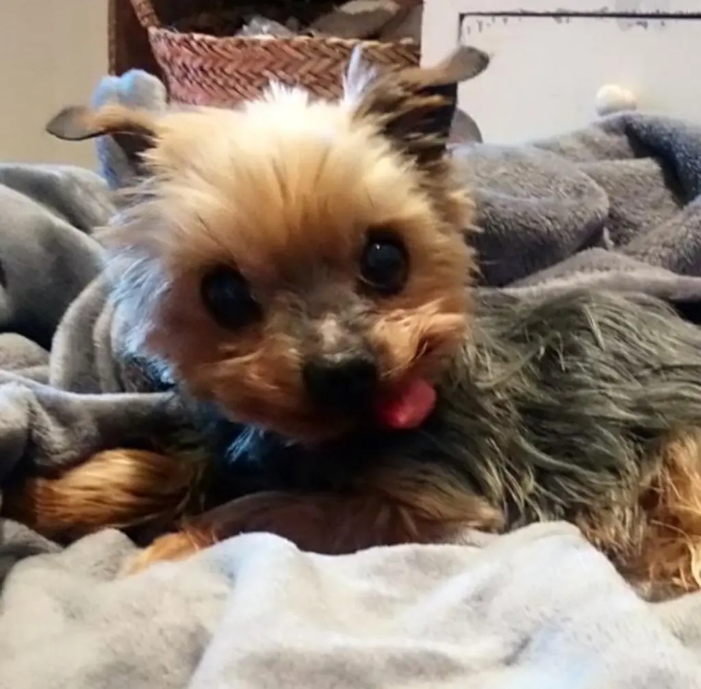 Andachtsbild von Kerstin ❤️Snoopy