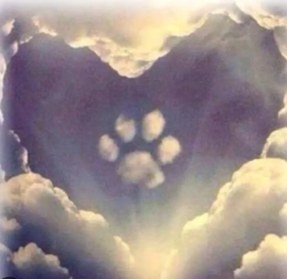 Andachtsbild von Antje 