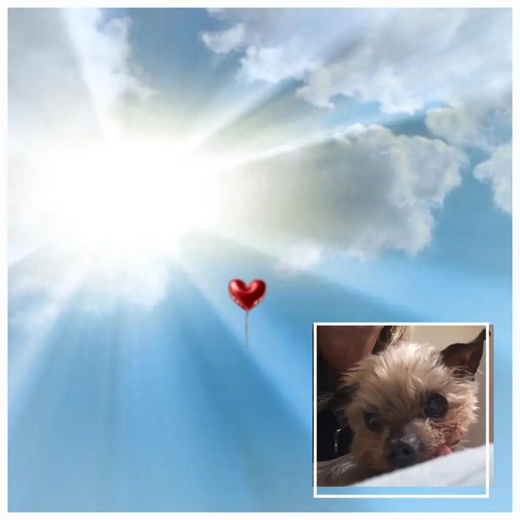 Andachtsbild von deiner Familie ❤️