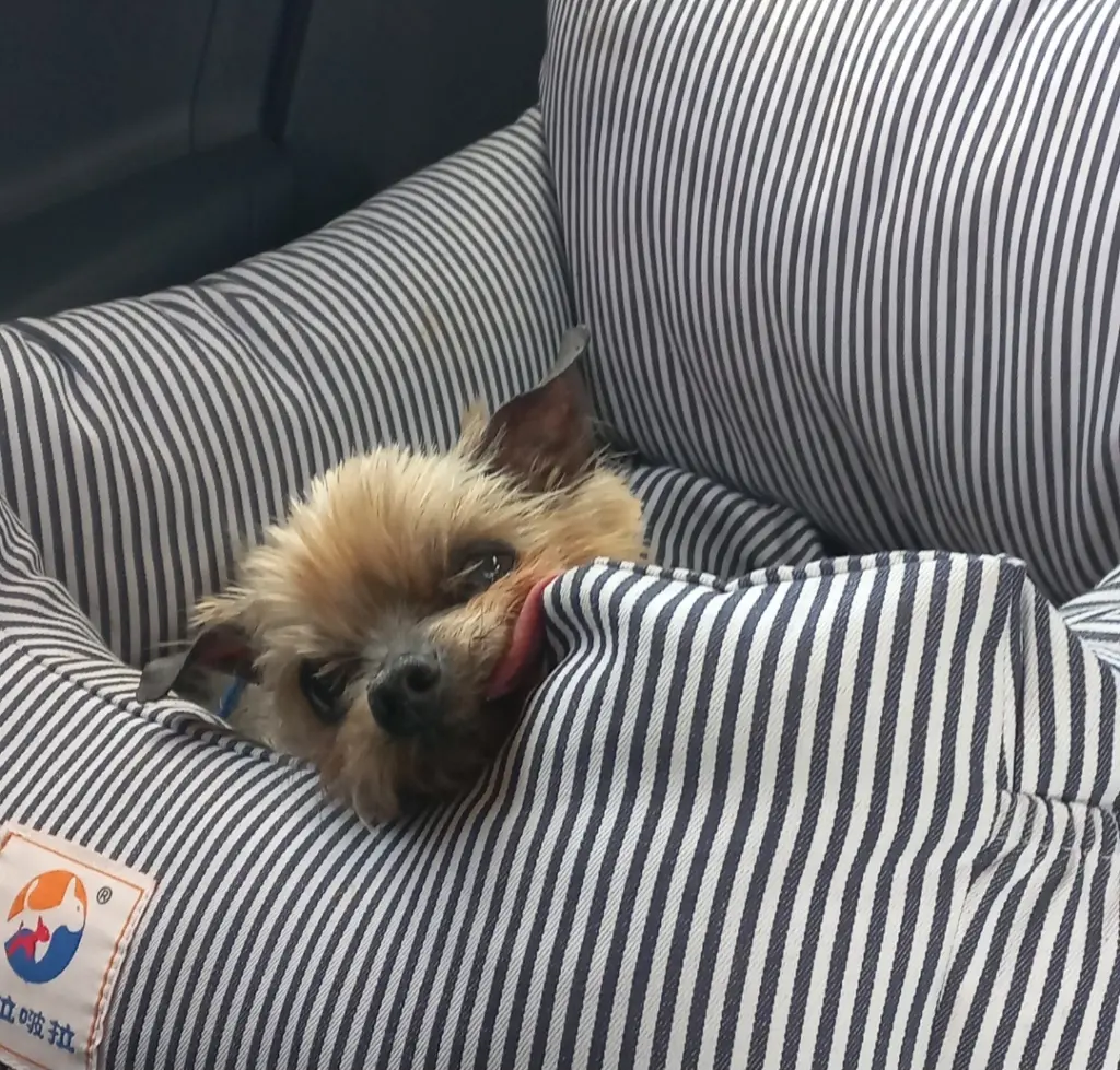 Condolence image of deiner Familie ❤️