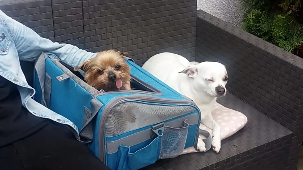 Condolence image of Pepe und Tante Stietz