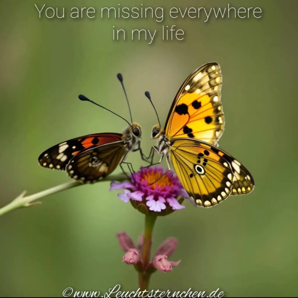 Condolence image of Ewa & Krzysztof mit Jacki♥️ tief im Herzen♥️