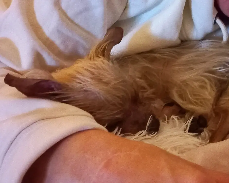 Andachtsbild von deine Familie ❤️