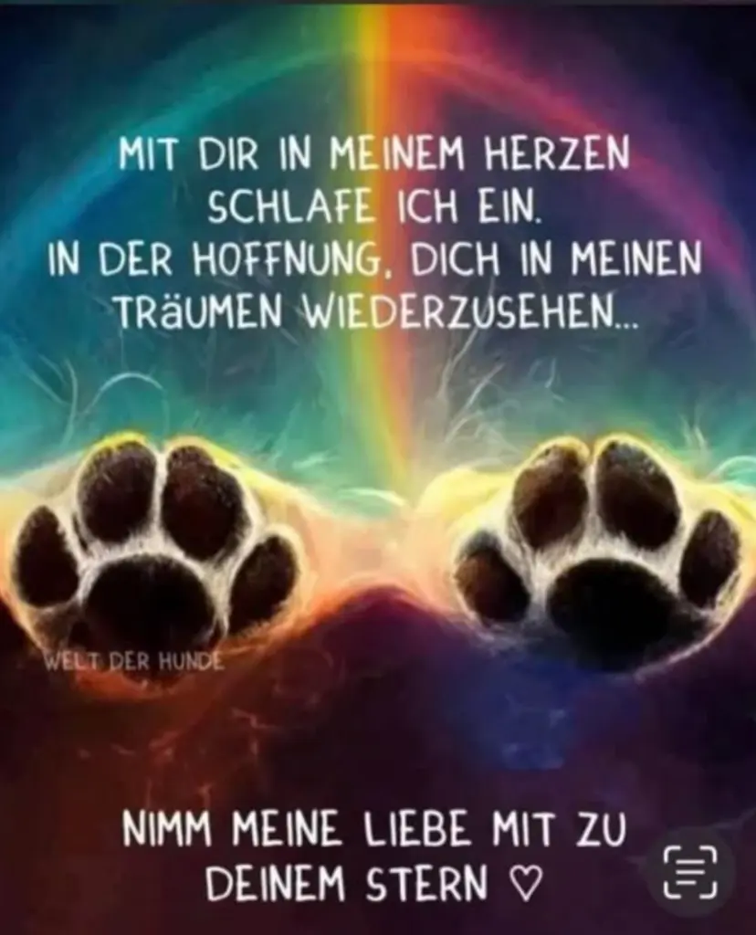 Andachtsbild von mein Hase ❤️