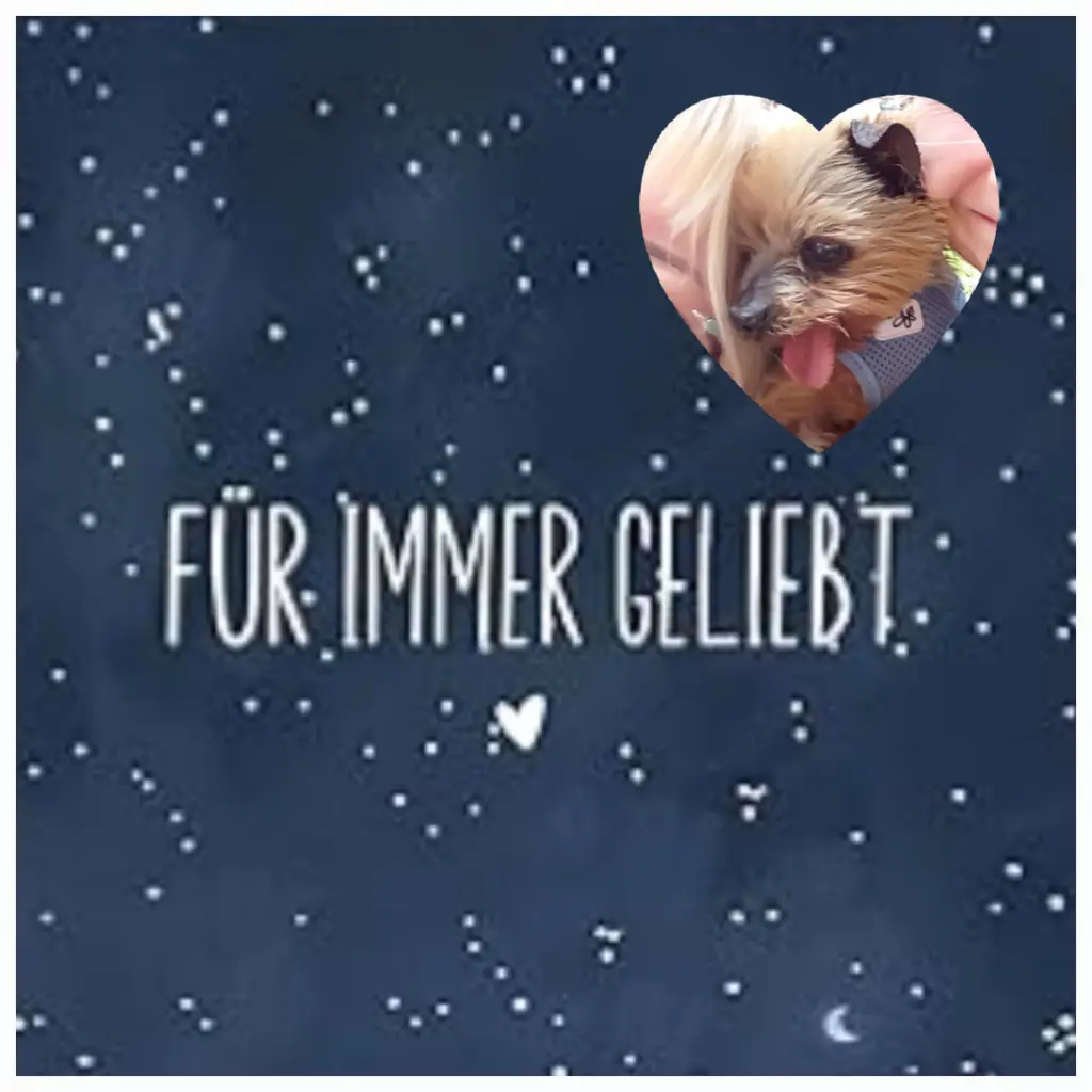 Andachtsbild von deine Familie ❤️