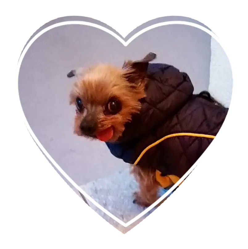 Andachtsbild von mein Hase ❤️