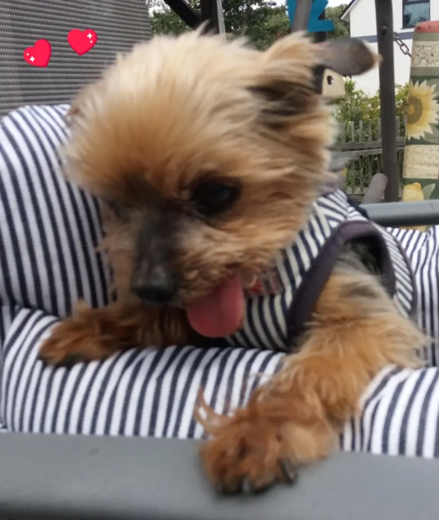 Andachtsbild von deine Familie ❤️