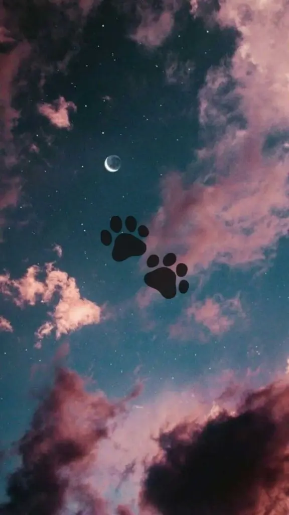 Condolence image of Janine mit Sheela ❤️🌹❤️