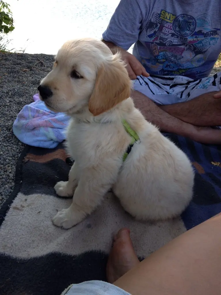 Condolence image of Peter & Christa mit Theo❤️ Bronnenmayer
