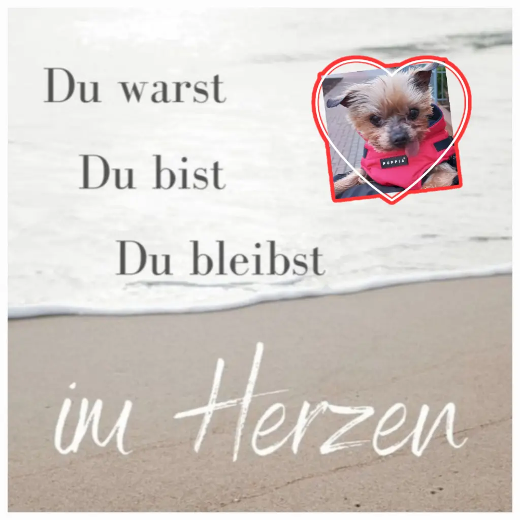 Condolence image of deine Familie ❤️