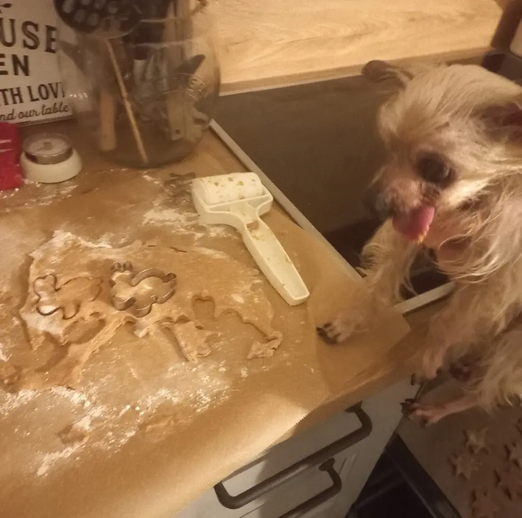 Condolence image of deine Familie ❤️