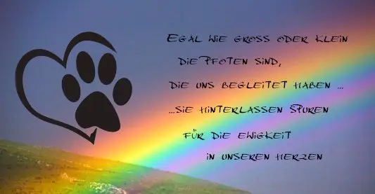 Condolence image of Alles Liebe für Snoopy ❤️ von Willi und Melitta