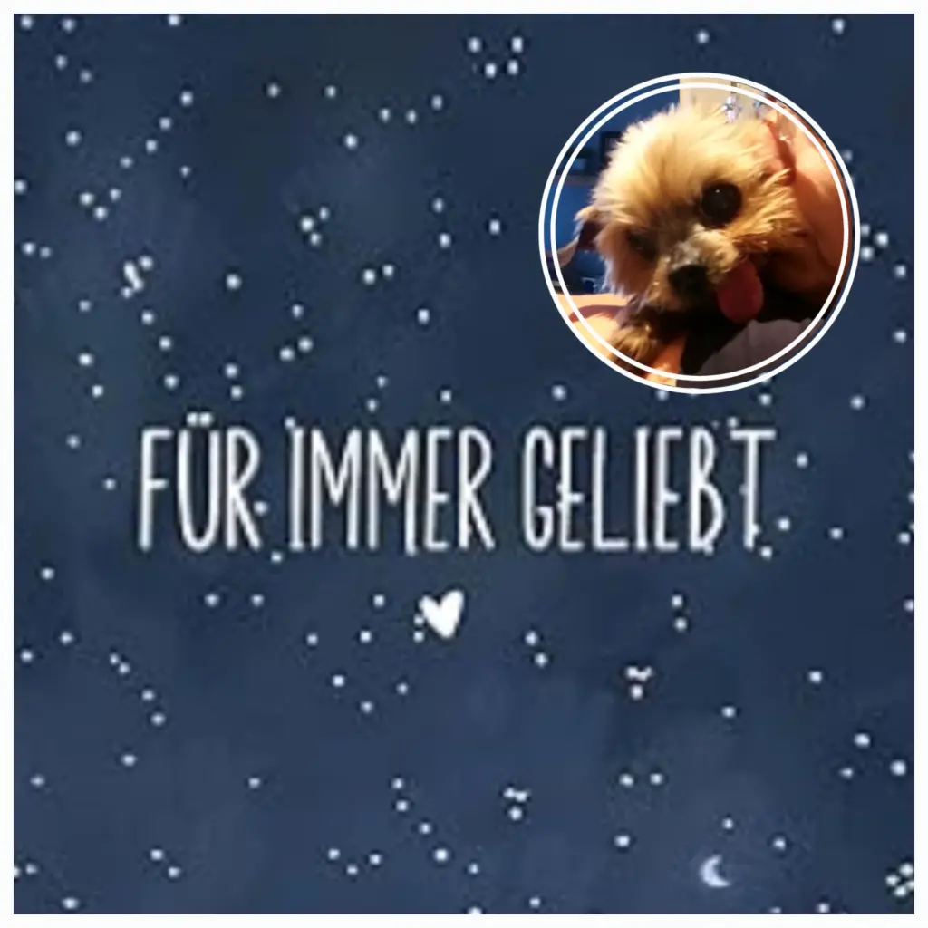 Andachtsbild von ❤️❤️❤️