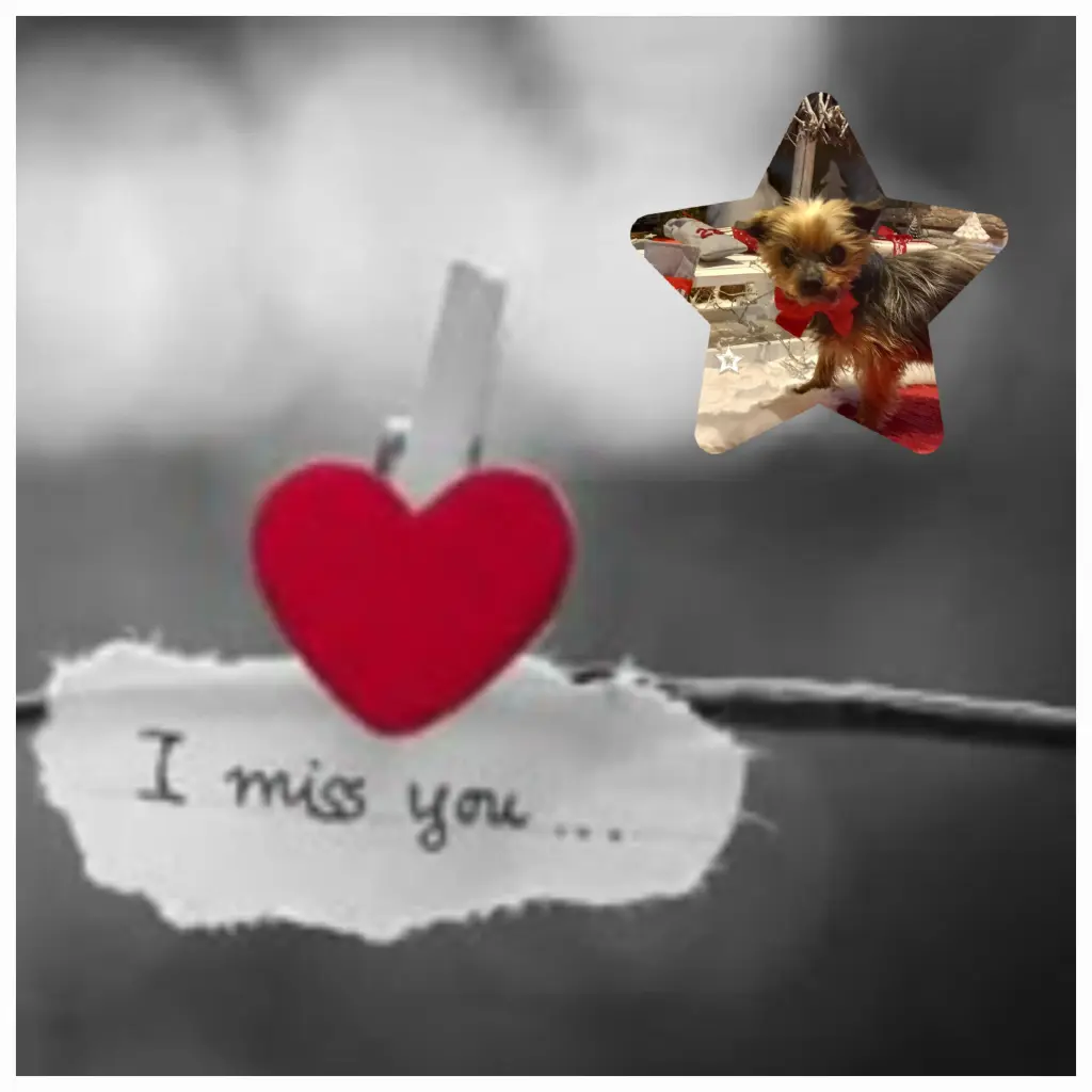 Andachtsbild von deine Familie ❤️