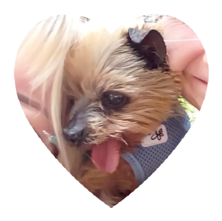 Andachtsbild von ❤️❤️❤️