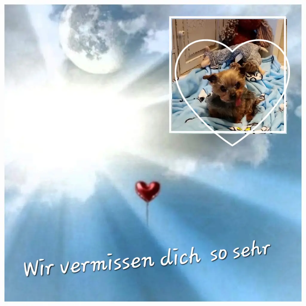 Andachtsbild von ❤️❤️❤️