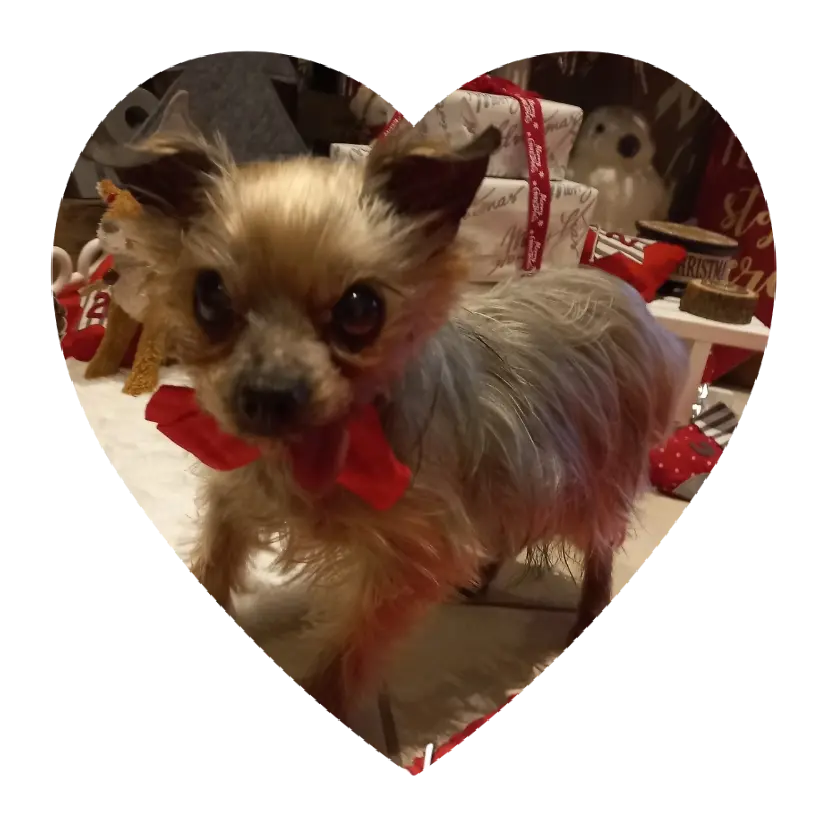 Condolence image of ❤️❤️❤️