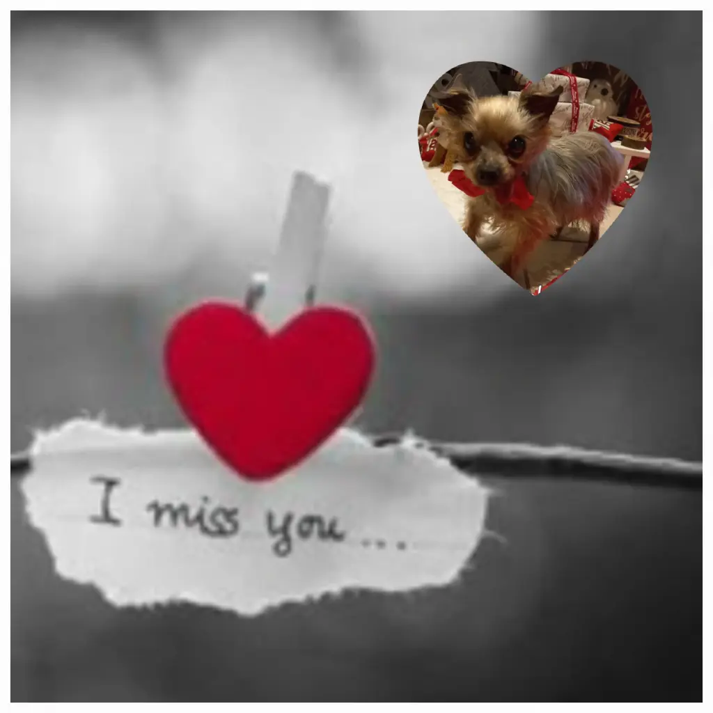 Condolence image of deine Familie ❤️