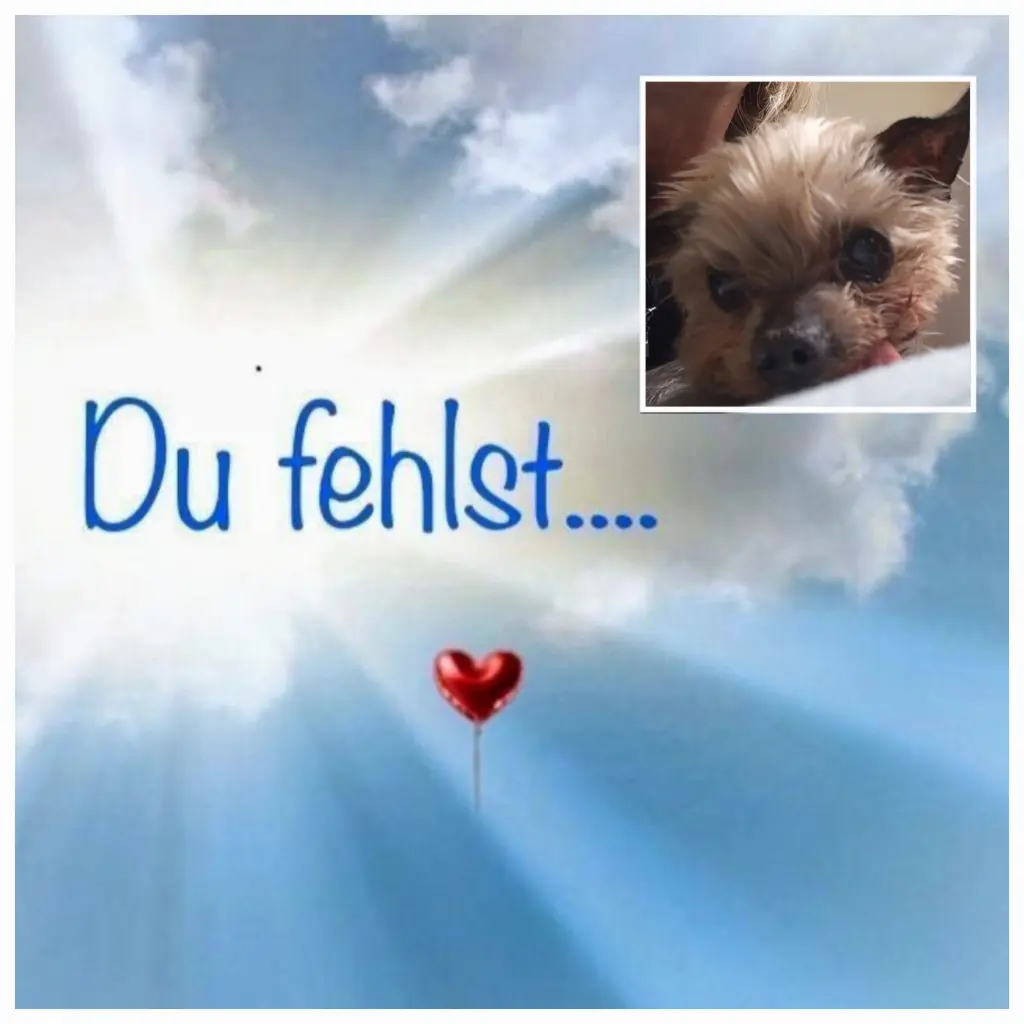 Condolence image of deine Familie ❤️