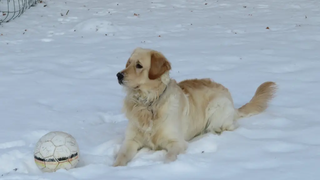 Condolence image of Peter & Christa