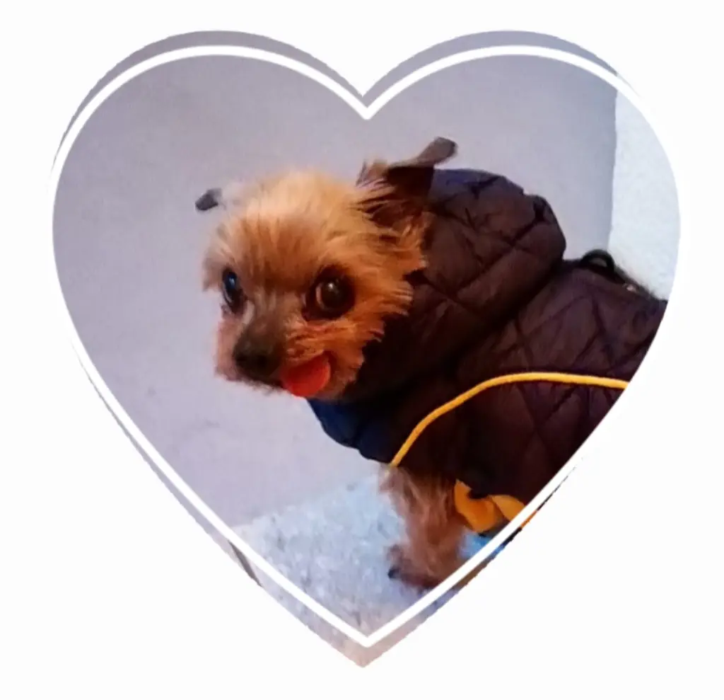 Condolence image of ❤️❤️❤️