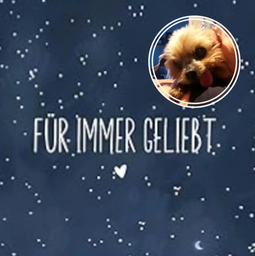 Andachtsbild von ❤️❤️❤️