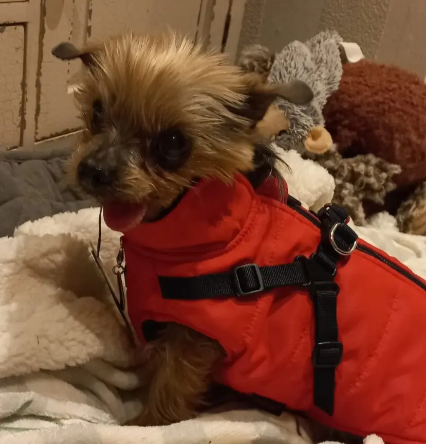 Andachtsbild von deine Familie ❤️