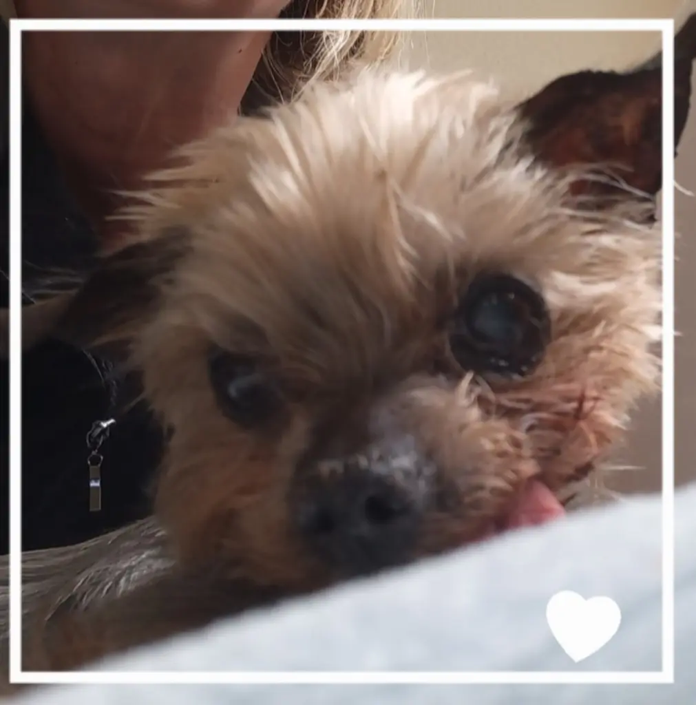 Andachtsbild von ❤️❤️❤️