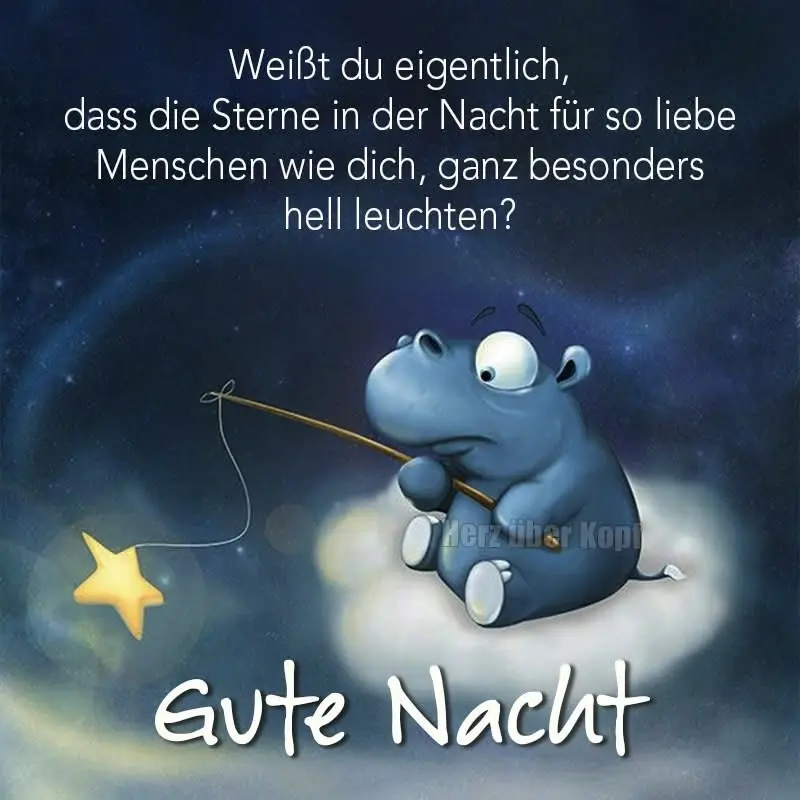 Condolence image of Janine 🐾 Sheela