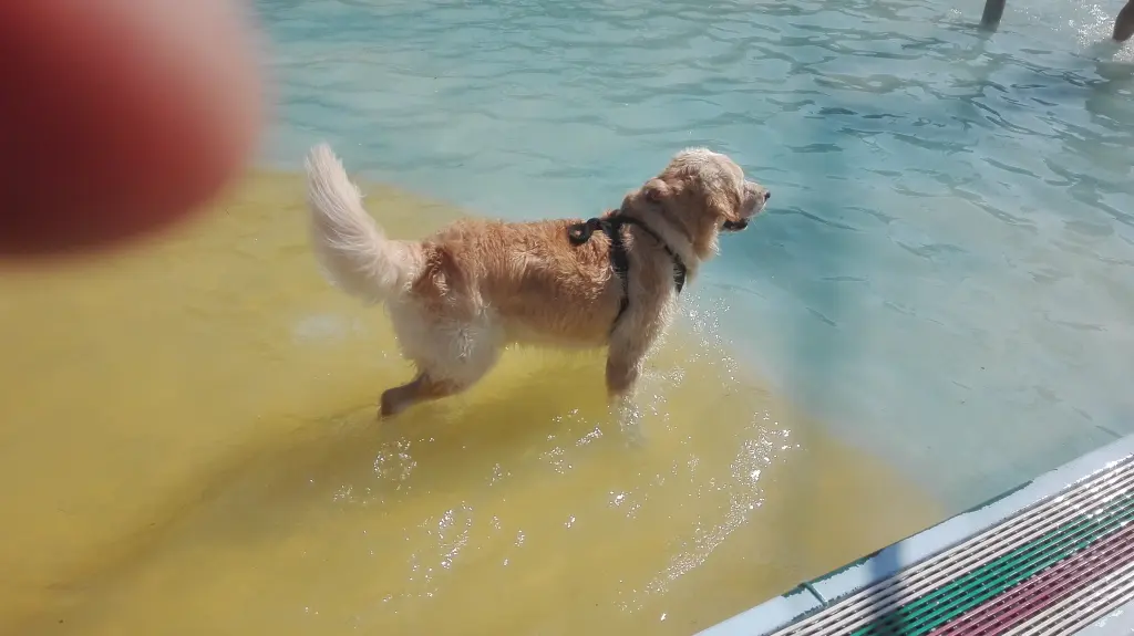Condolence image of Peter & Christa