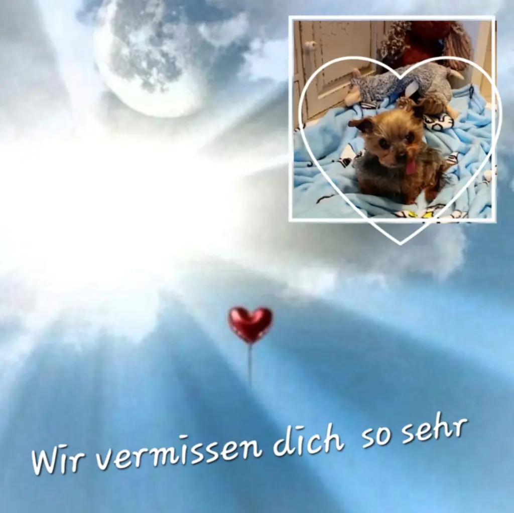 Condolence image of deine Familie ❤️