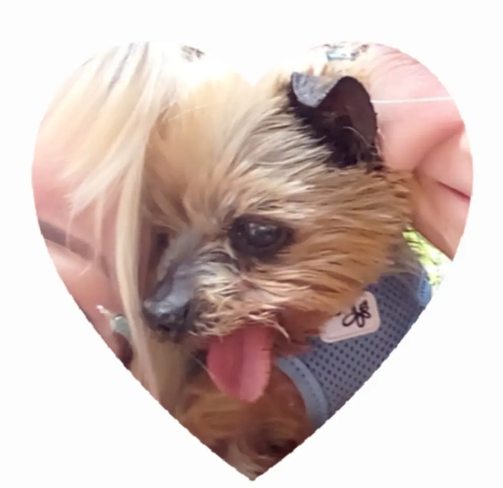 Condolence image of deine Familie ❤️