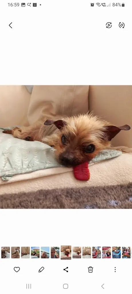 Condolence image of ❤️❤️❤️