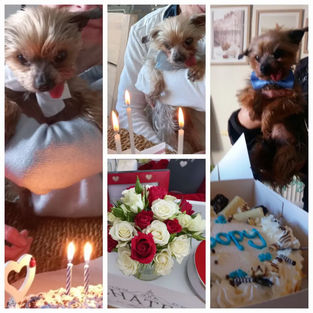 Andachtsbild von deine Familie ❤️