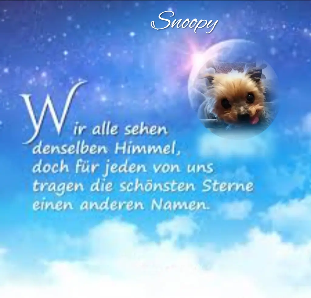 Andachtsbild von ♥️♥️