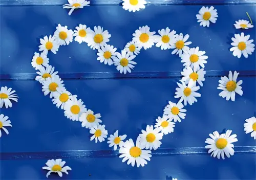 Condolence image of Einen lieben Gruß von Melitta mit Willi im ❤️