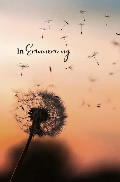 Condolence image of 🌹Janine ❤️ Sheela 🌹